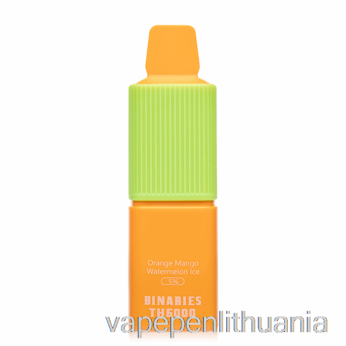 Horizon Binaries Th6000 Vienkartinis Apelsinas Mango Arbūzas Ledo Garų Skystis